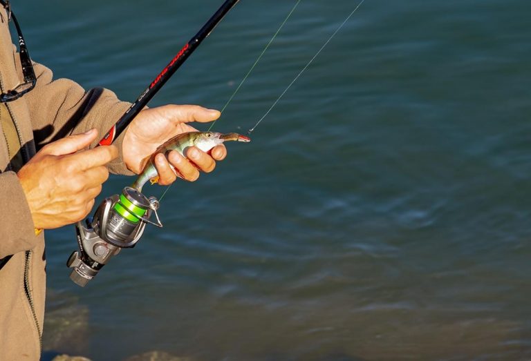 Chcesz nauczyć się łowić ryby? Wypróbuj te świetne wskazówki!
